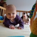 fotky-adelka-20-dubna-2009-06.jpg