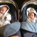 claudia-diana-1mesic-048