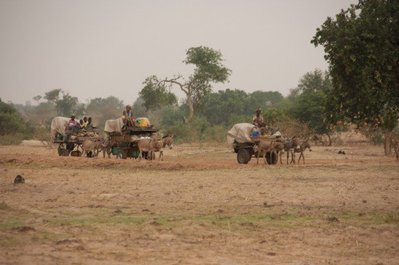 Hot_Cities_Senegal_Exodus